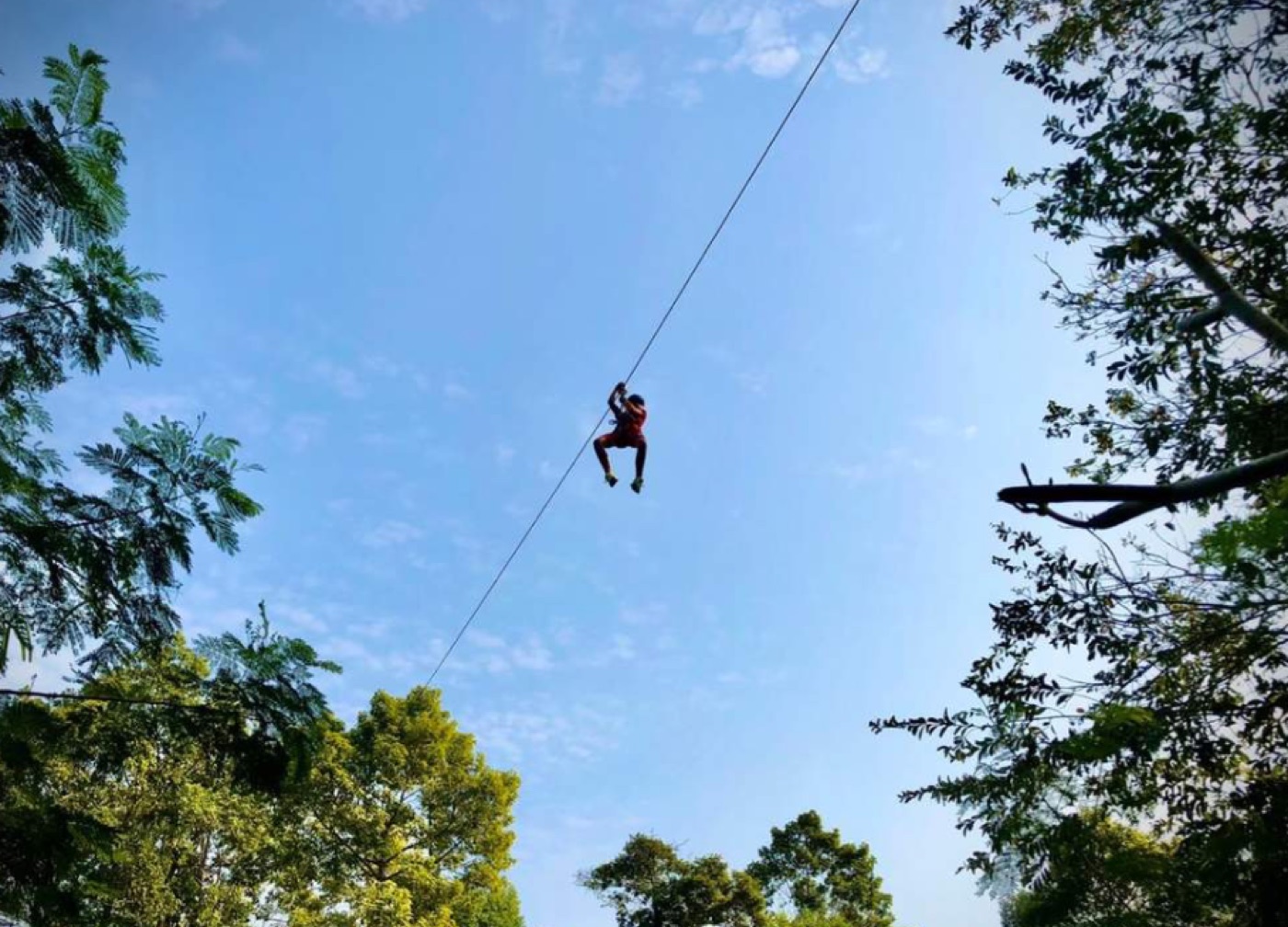 Zipline Experience in Hua Hin by Tree Top Adventure Park