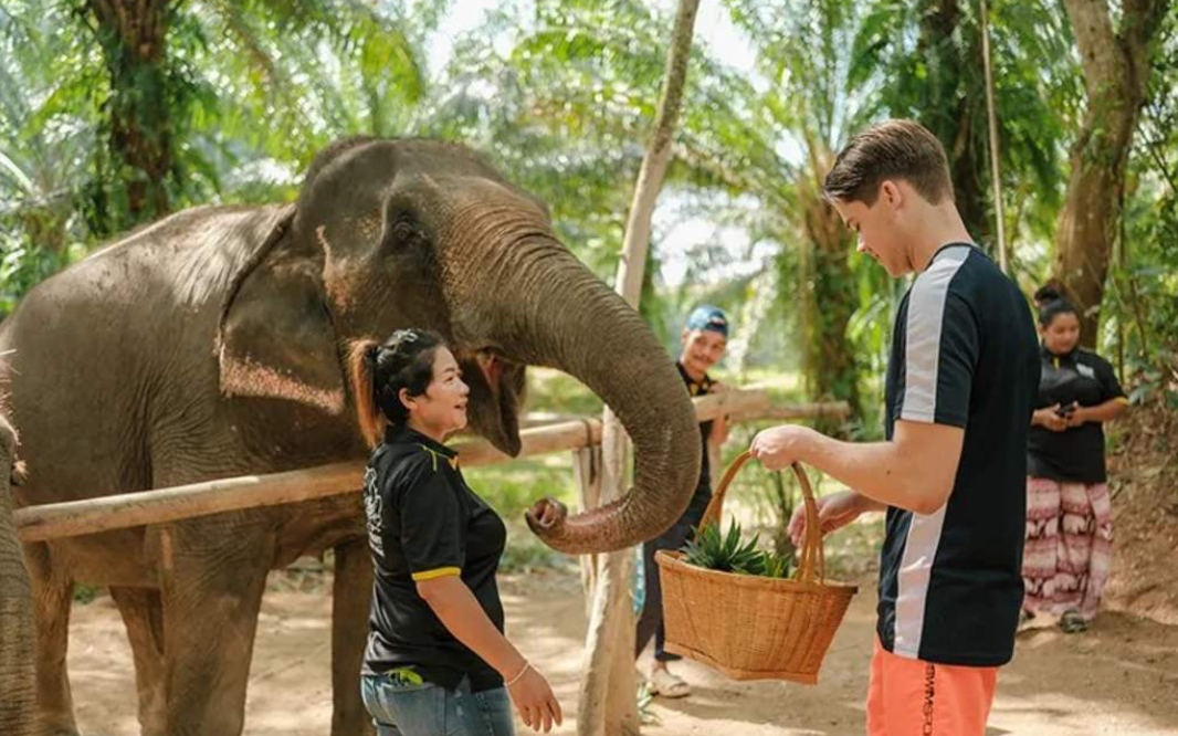 Elephant Care og ATV jungel adventure i Krabi